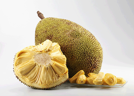 Jackfruit