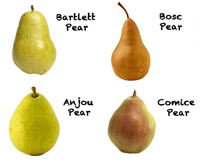 Van-Whole Produce » Blog Archive » Pear